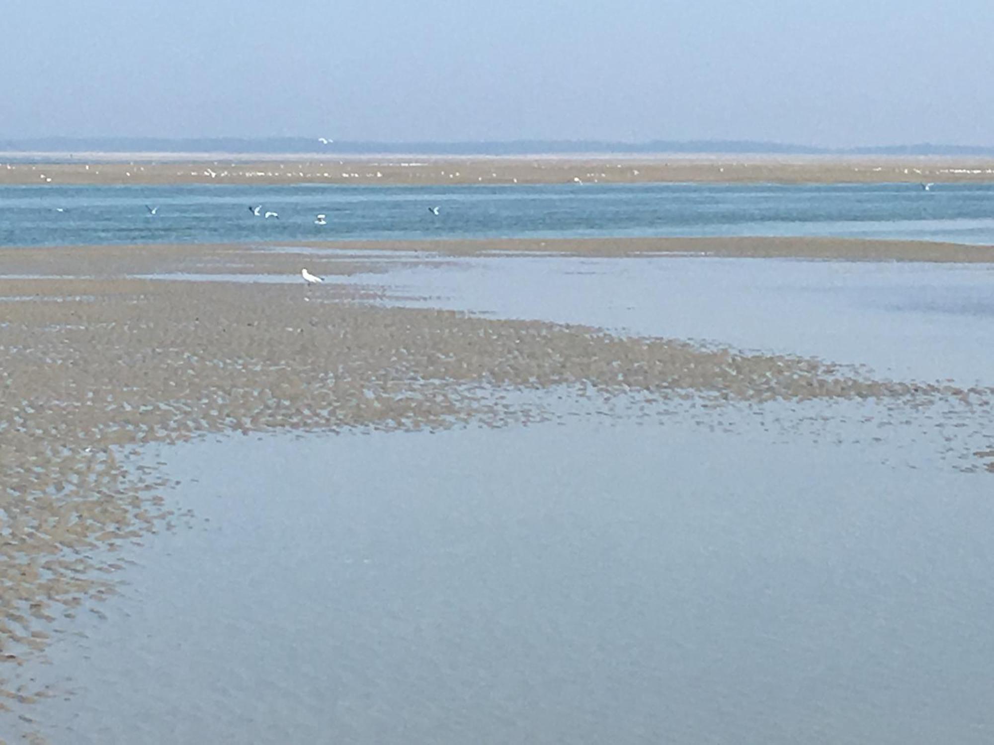 Maison De Pecheur Renovee A 3 Mn De La Mer. Cayeux-sur-Mer Eksteriør bilde